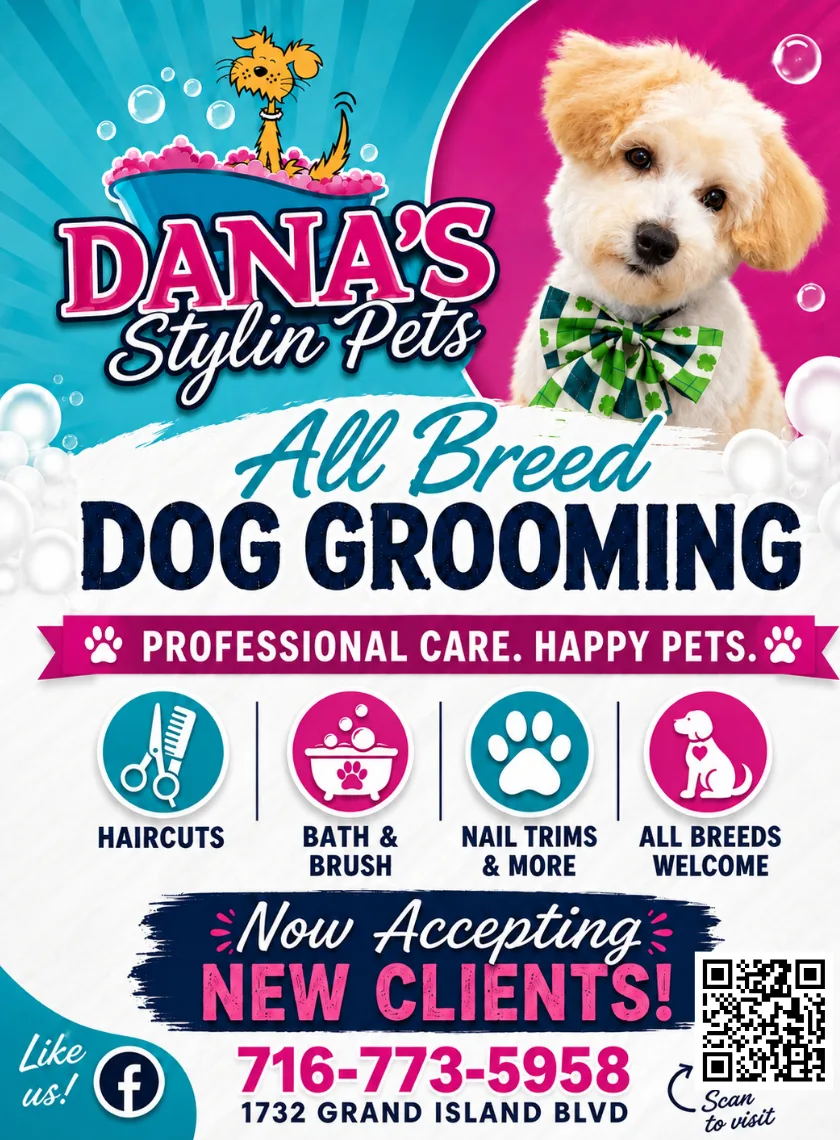 Dana Carver Built a Grooming Salon Where Dogs Don't Have to Jump and Employees Don't Have to Hurt