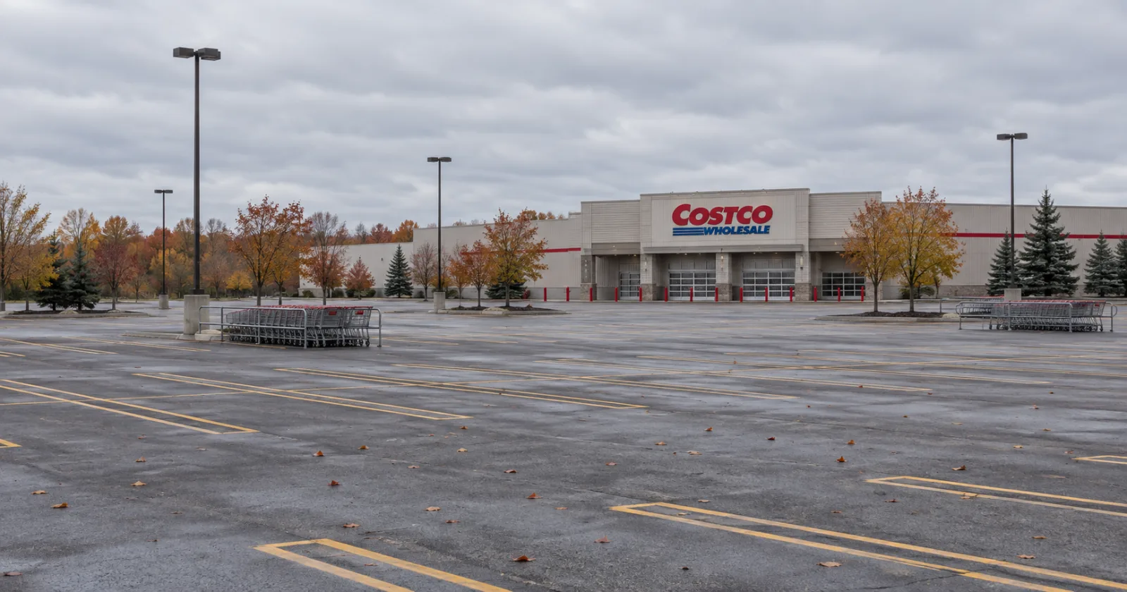 Costco Opens in Amherst on October 28, and a Second One Is Already Coming to West Seneca